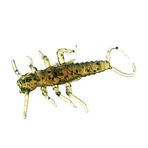 Stonefly 0.75"