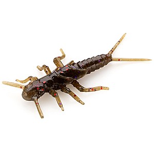 FishUp Stonefly 0.75" 1.9cm #050 Green Pumpkin Brown Red Purple 12vnt