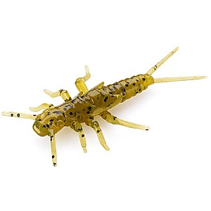 FishUp Stonefly 0.75" 1.9cm #074 Green Pumpkin Seed 12vnt