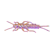 KA-Lures Maja 25mm R121B 15vnt