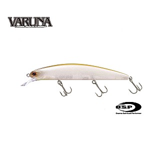 O.S.P.Varuna-Sinking