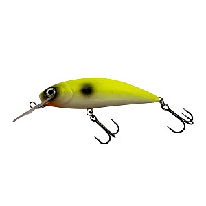 Gabkor Mr. Slim 70F 7cm 9g CP
