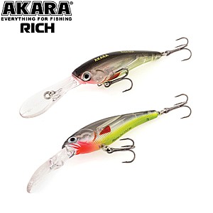 Akara Rich 60F 6cm 7g