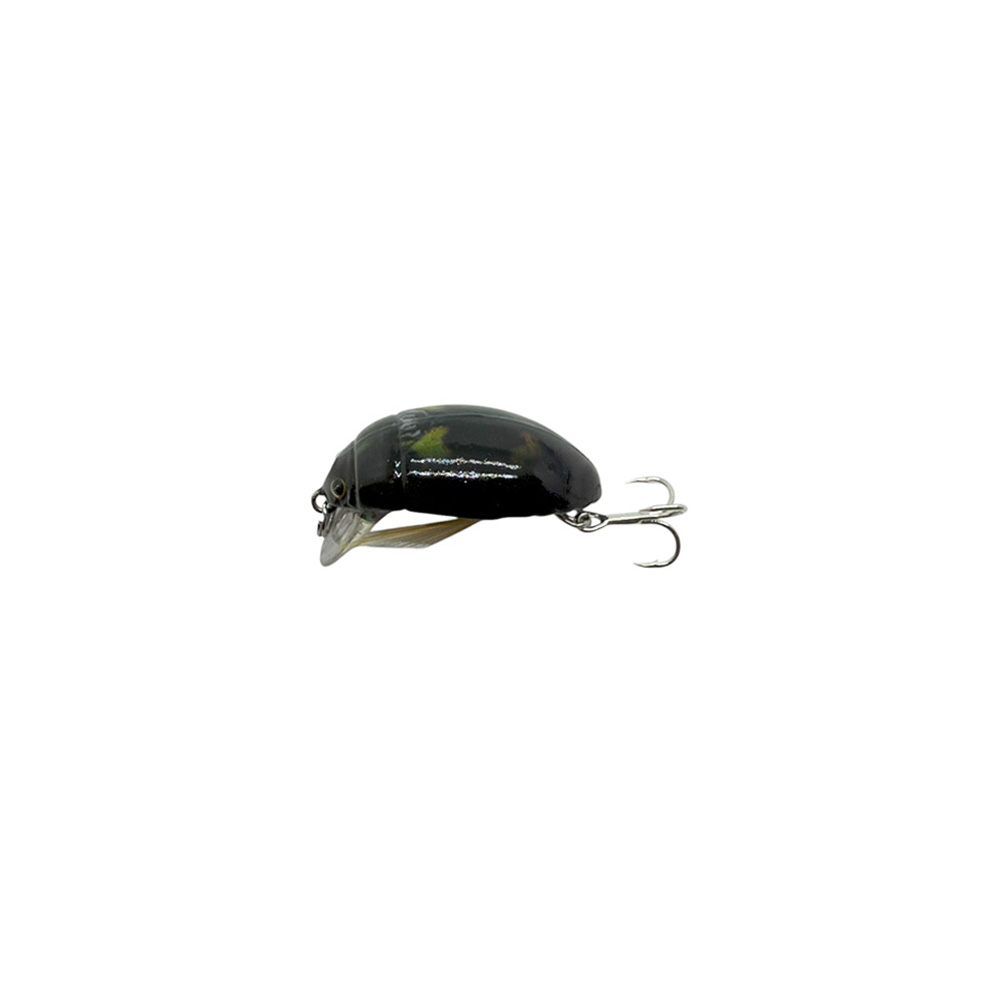 Pro FL May Bug 3#