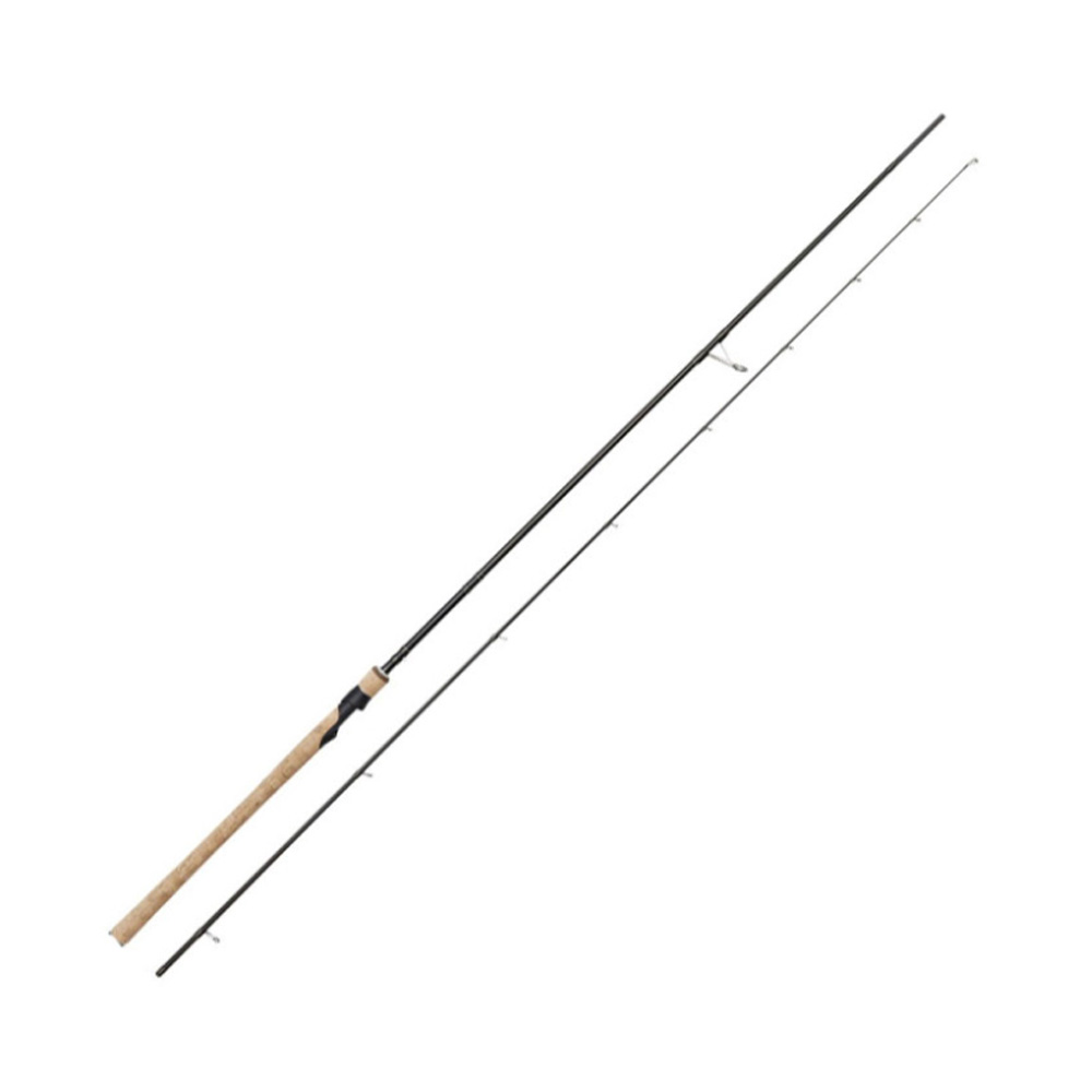 Westin W2 303cm 10-40g MH